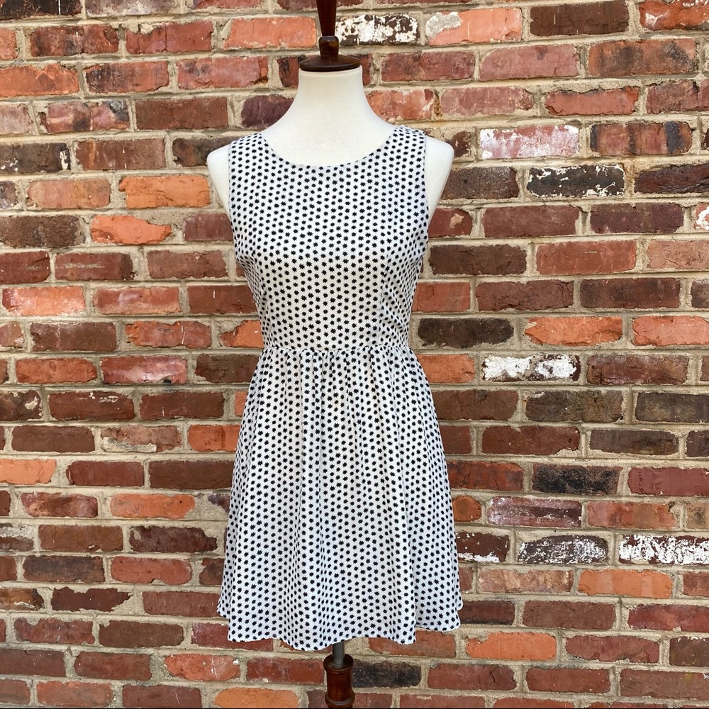 Black & White Polka Dot Skater Dress